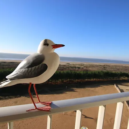 T2 Renove Avec Balcon Et Parking, Acces Direct - Brevin - Fr-1-364-115 *