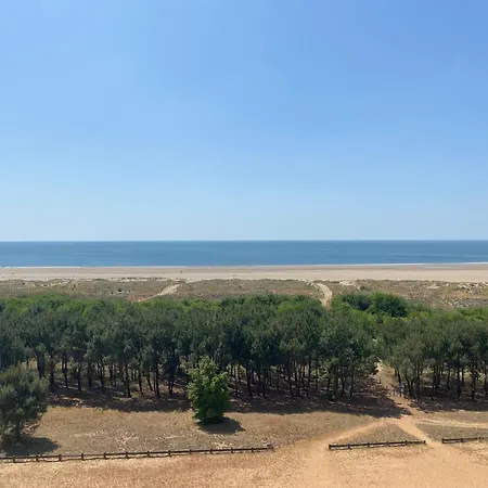 T2 Renove Avec Balcon Et Parking, Acces Direct - Brevin - Fr-1-364-115 Lägenhet
