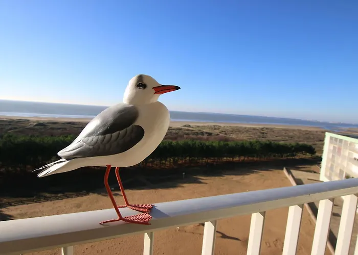 T2 Renove Avec Balcon Et Parking, Acces Direct - Brevin - Fr-1-364-115 *